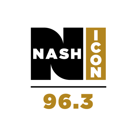 File:963nashicon logo.png