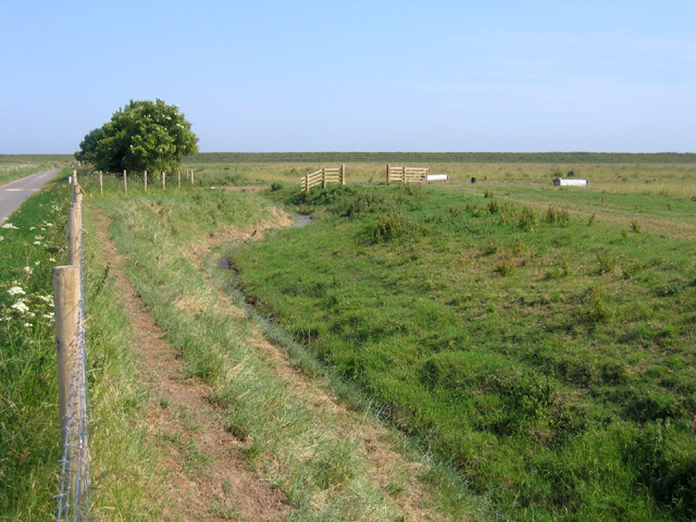 File Abandoned Farmland Frampton Marsh Lincs Geograph Org Uk 196499 Jpg Wikimedia Commons