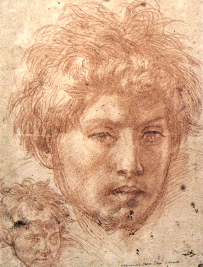 andrea del sarto text