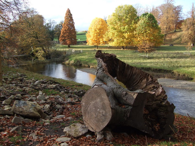 File:Autumn colours at Levens Park - geograph.org.uk - 621208.jpg