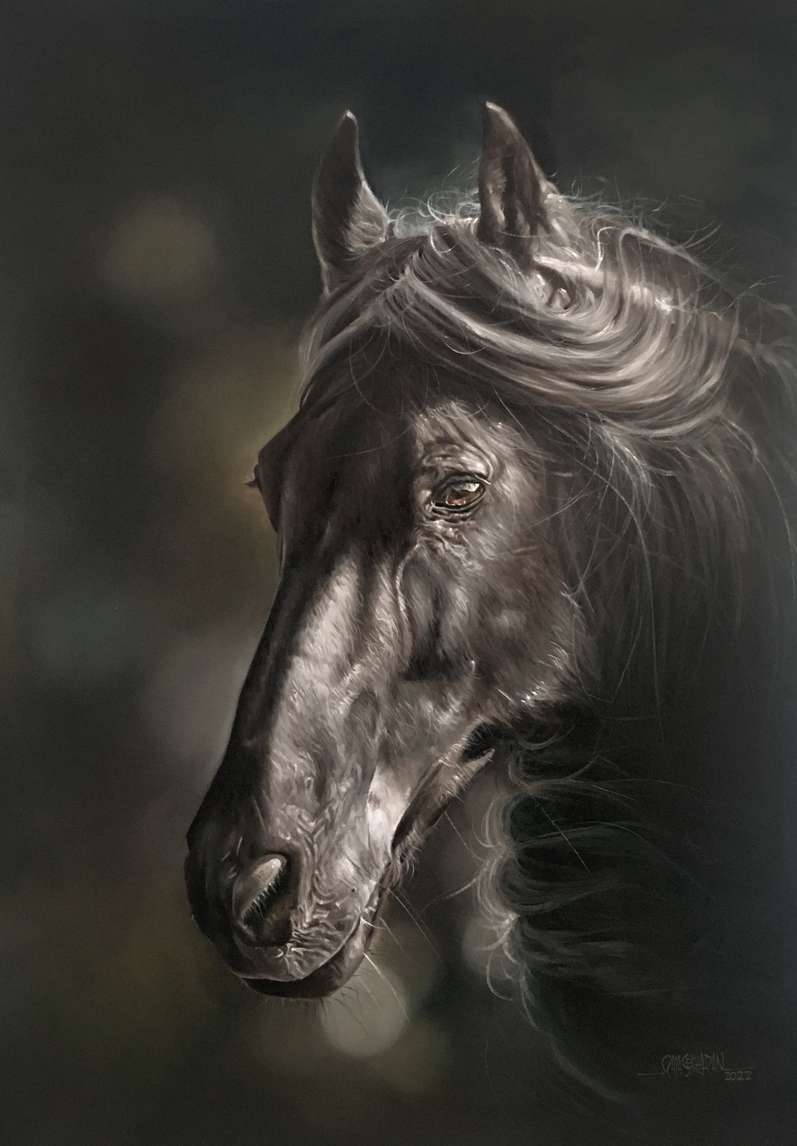 Серо черная лошадь. Лошадь черный. Несущаяся черная лошадь. Картина черная лошадь. Чёрная лошадь Старая.
