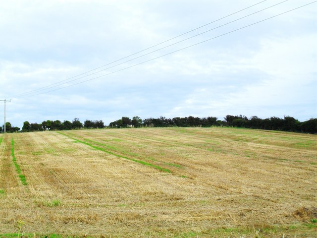 File:Black Abbey Townland - geograph.org.uk - 1509804.jpg