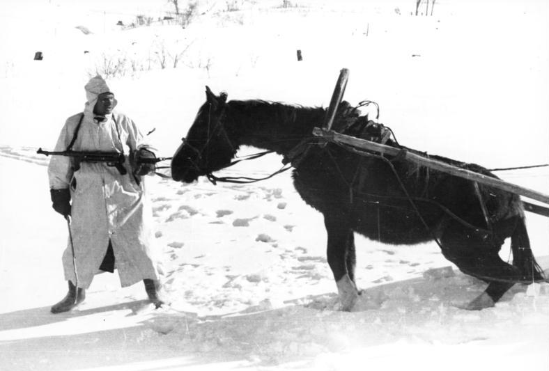 red army cavalry with military horse