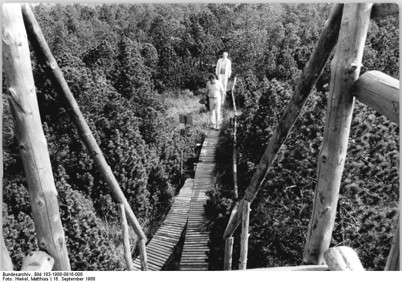 File:Bundesarchiv Bild 183-1988-0916-008, Georgenfeld, Pfad durchs Hochmoor.jpg