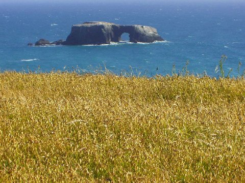 l'Océan Pacifique sur côte du Jenner, Californie