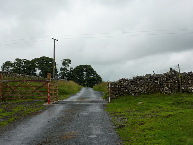 File:Cattle grid on Henside Road - geograph.org.uk - 1990994.jpg