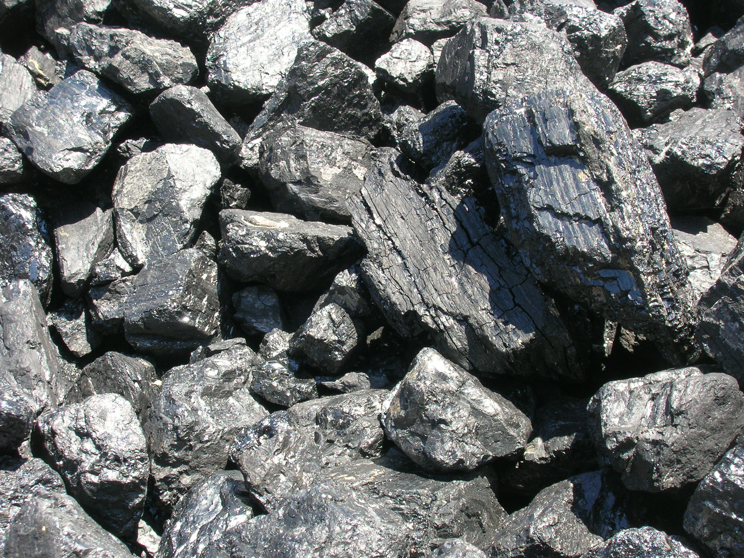Каменный уголь — Википедия