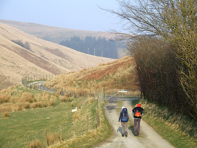 File:Cwm Doethie Fawr in March, Ceredigion - geograph.org.uk - 1244372.jpg