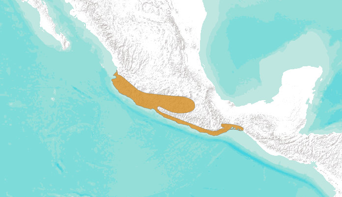 File:Distribución del colorín pecho naranja.png