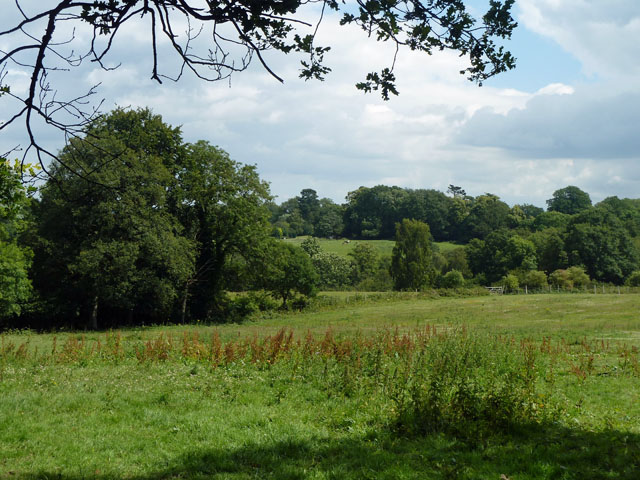 File:Fields behind Round House Farm - geograph.org.uk - 2497430.jpg