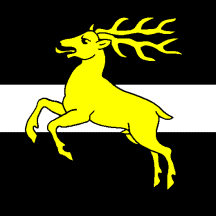 File:Flag of Plasselb.gif