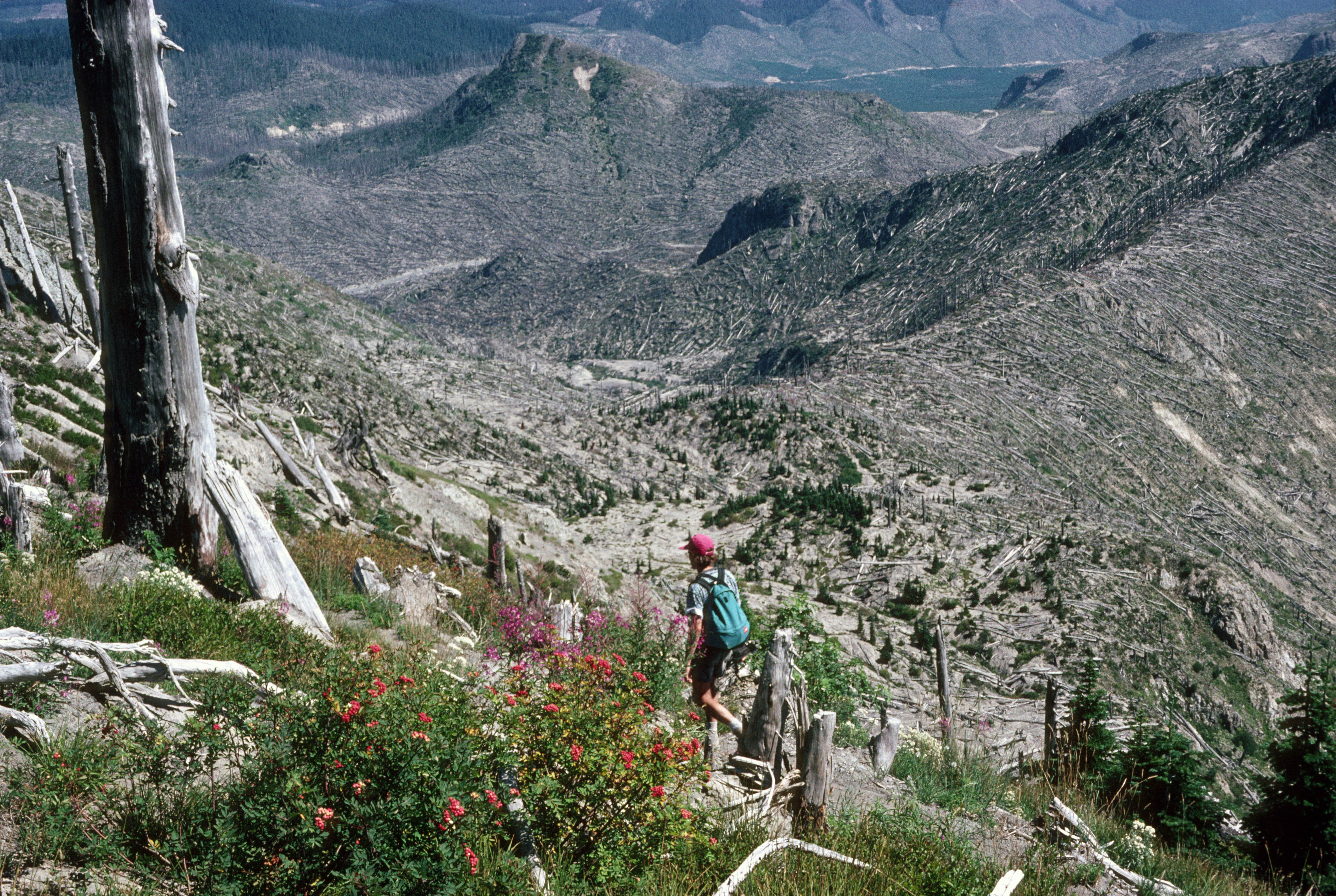 hiking trails of mt st helens vs mt hood