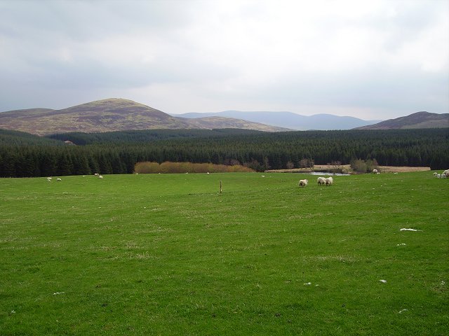 File:Harehope Forest - geograph.org.uk - 166263.jpg