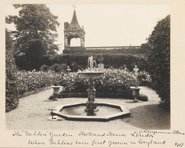 File:Holland House in 1907 by J. Benjamin Stone - Dahlia Garden.jpg