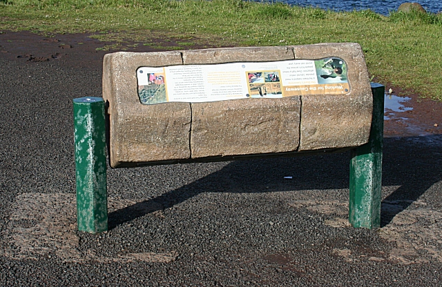 Information Board - geograph.org.uk - 475302