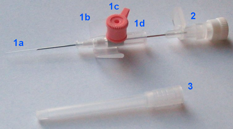 File:Intravenous cannula decription.jpg