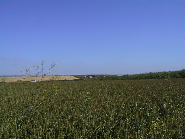 File:Looking towards campsite 'Eldoret' - geograph.org.uk - 1531778.jpg