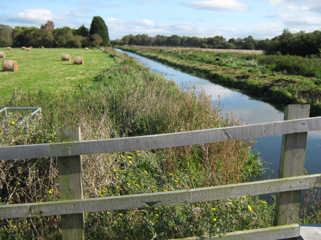 North Drain, Westhay Moor - geograph.org.uk - 2652338