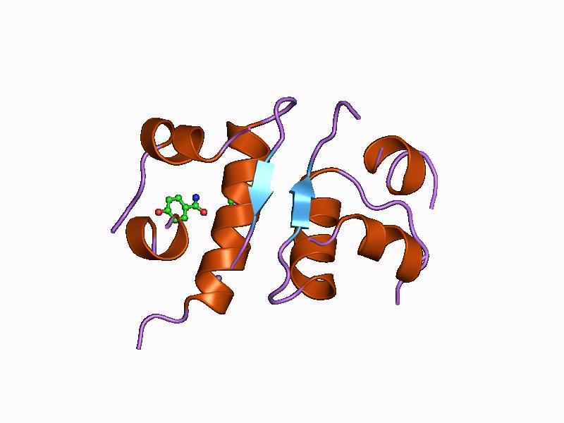 File:PDB 1ben EBI.jpg