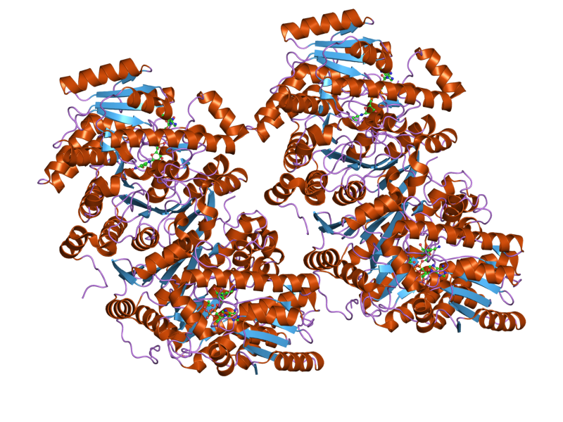 File:PDB 2fkn EBI.png