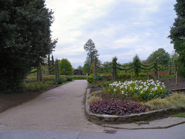 File:Queen Mary's Gardens, Regent's Park - geograph.org.uk - 2956056.jpg