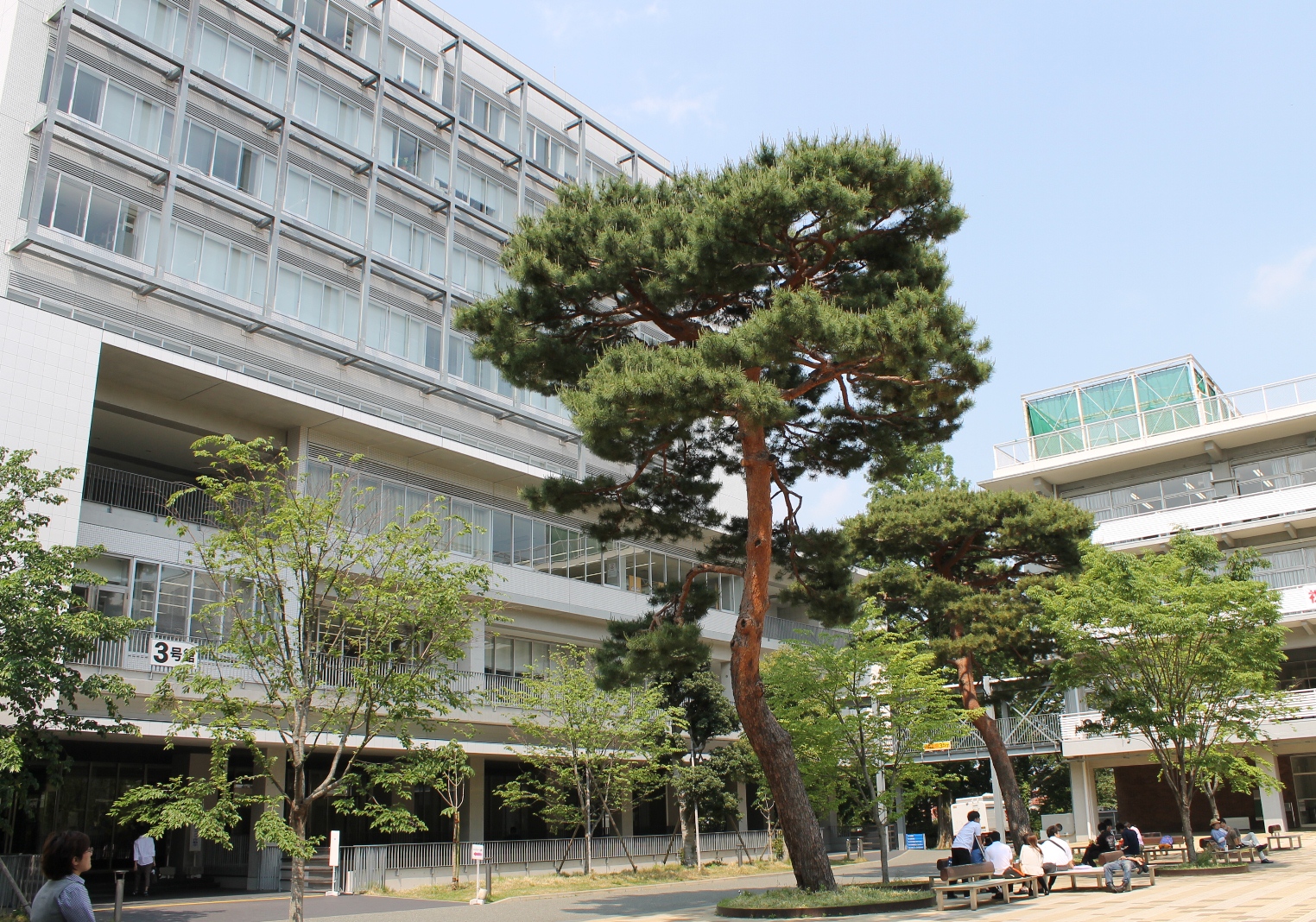 学校 高等 阪南 大学