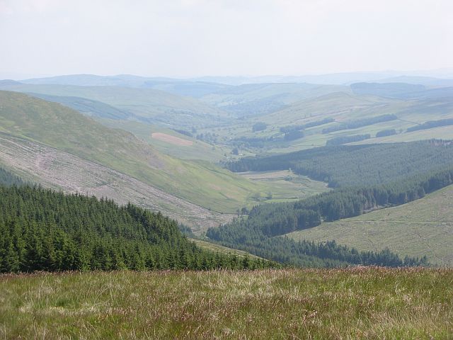 File:Shinnel Water - geograph.org.uk - 463296.jpg