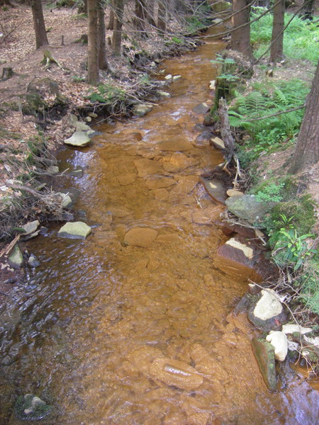 File:Soutok sirneho pramene a Hamerskeho potoka.JPG