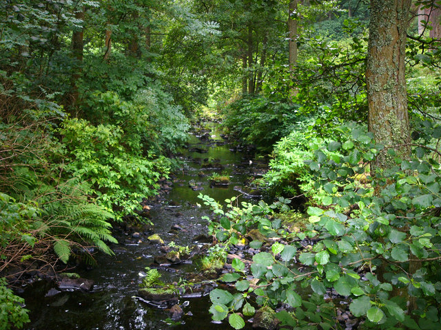 File:Stream below Tumbleton Lake - geograph.org.uk - 919964.jpg