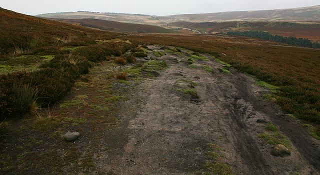 File:The Path to Cutthroat Bridge - geograph.org.uk - 592449.jpg