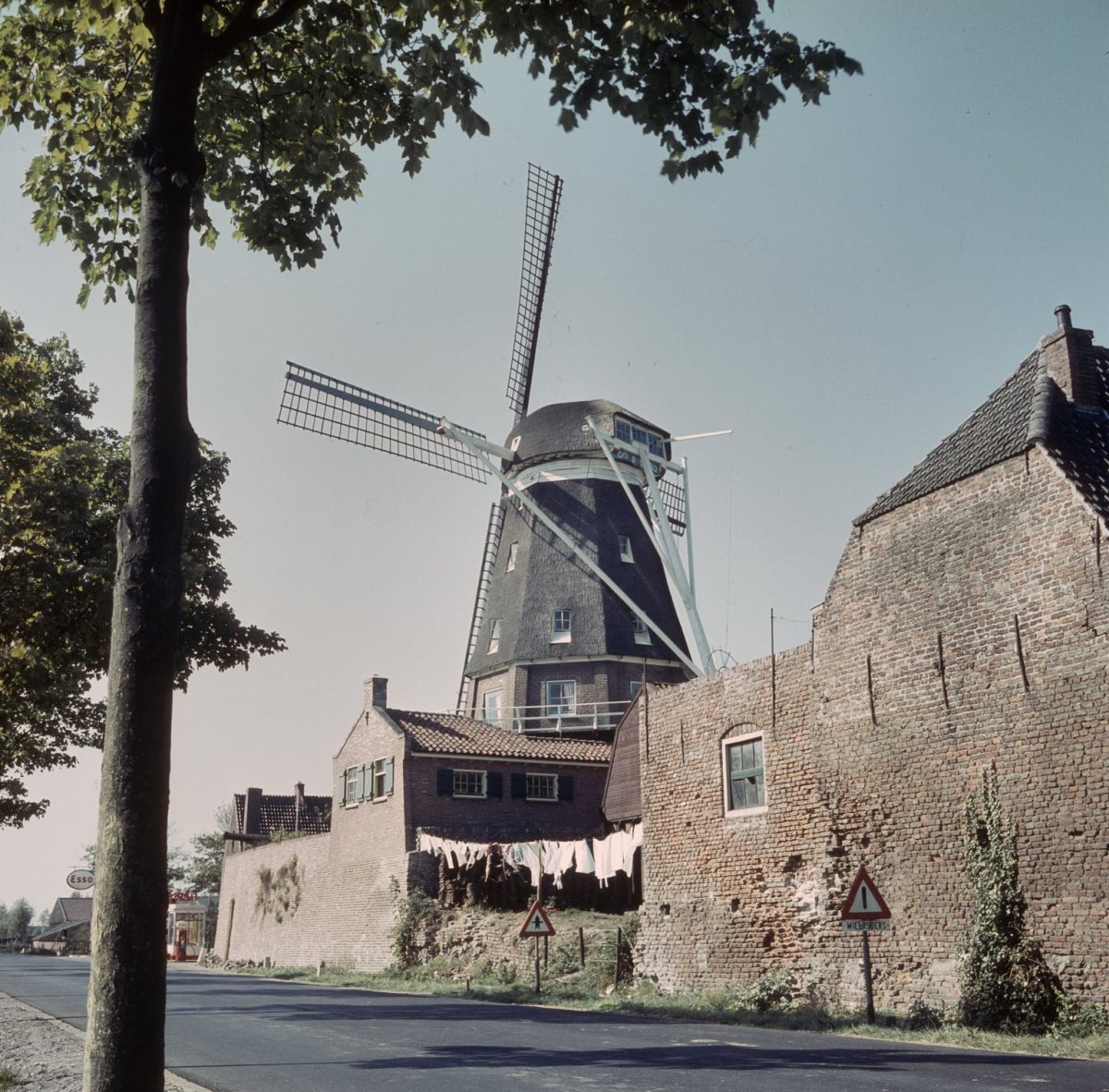 Bron Bladeren verzamelen mechanisch Bestand:Zicht op de molen uitstekend boven buurpanden - Montfoort -  20383277 - RCE.jpg - Wikipedia