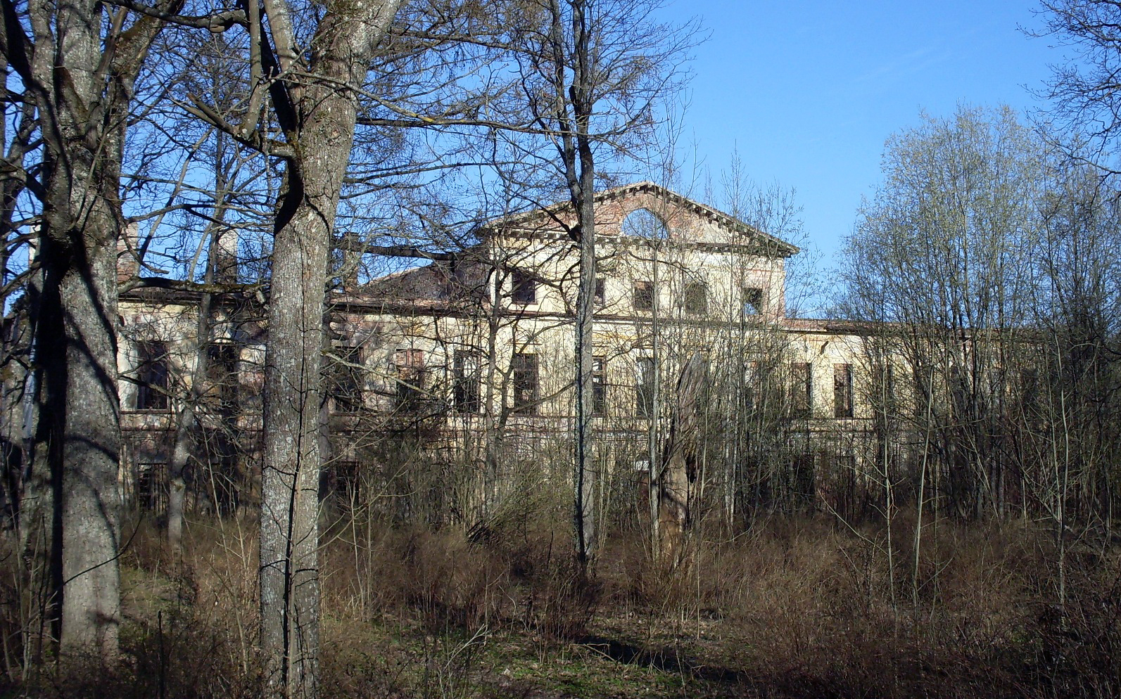 ропшинский дворец старые