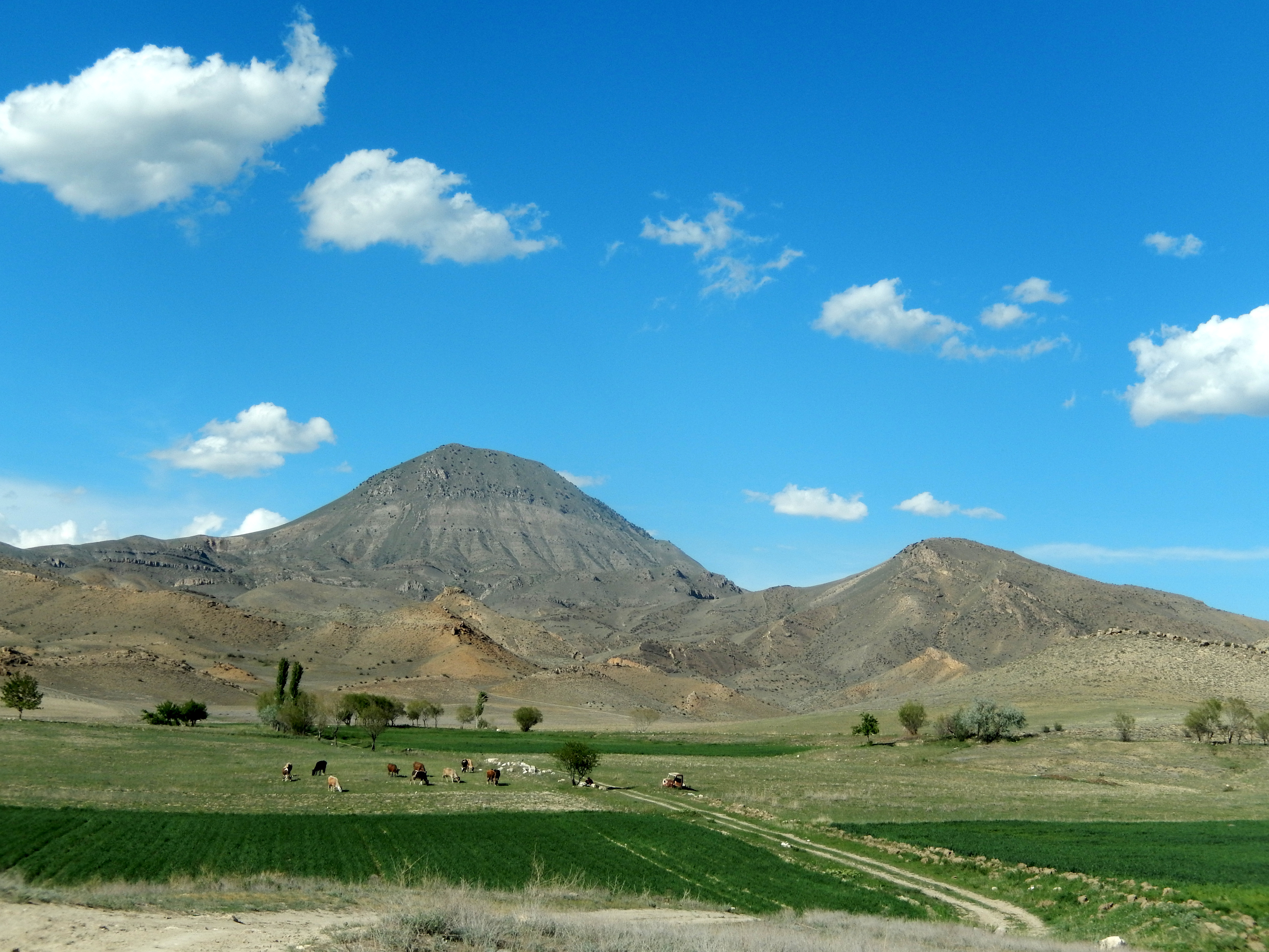 село арташат армения