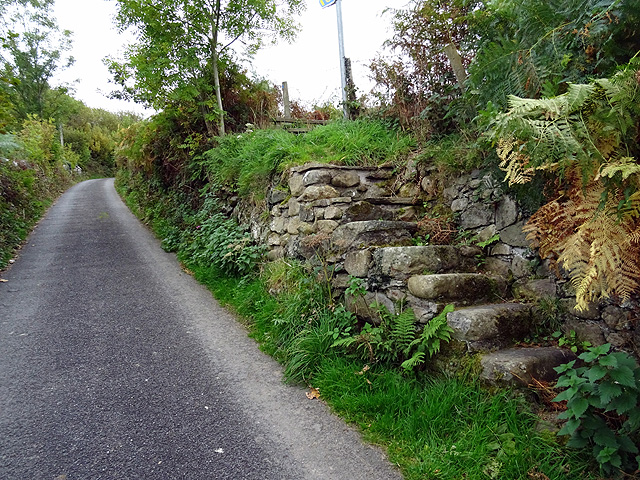 File:Ancient steps - geograph.org.uk - 4709608.jpg