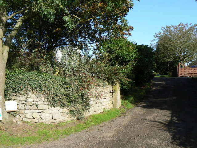 File:Bingfield Combe - geograph.org.uk - 260575.jpg