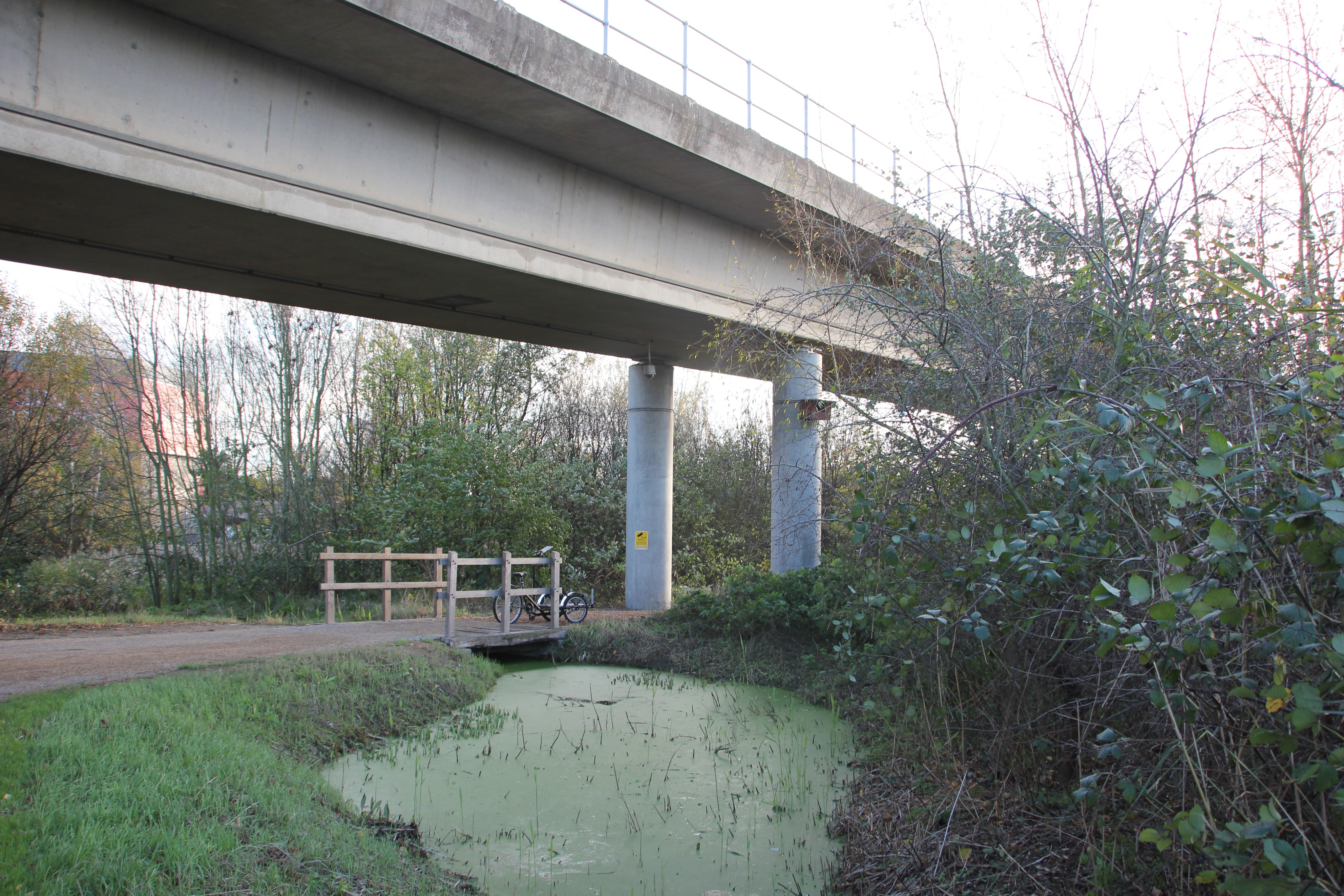 Bow Creek Ecology Park