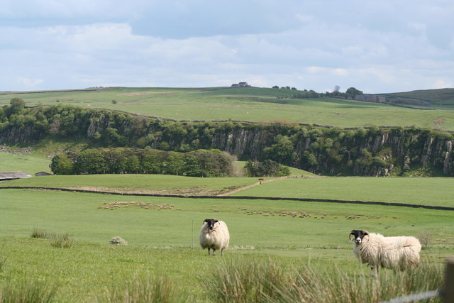 File:Cawfield Crags - geograph.org.uk - 445970.jpg