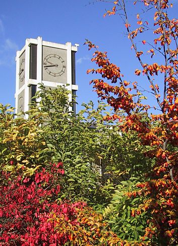 File:Clocktower11-2-2001.jpg