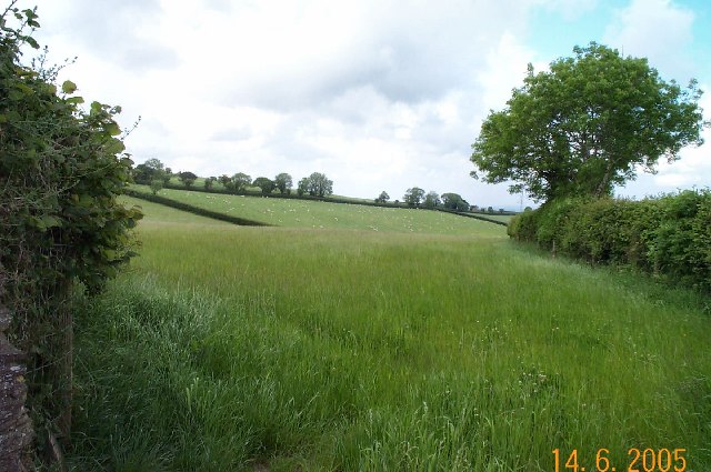 File:Diptford field - geograph.org.uk - 18805.jpg