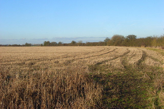 File:Farmland, Warborough - geograph.org.uk - 1391526.jpg