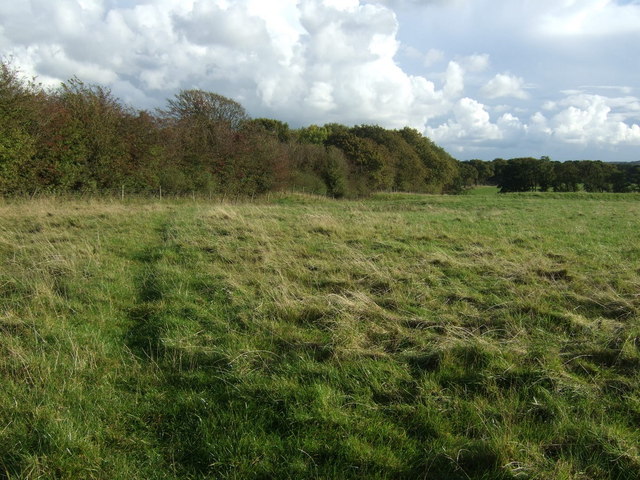 File:Footpath over field, Tincklers Lane - geograph.org.uk - 4205856.jpg