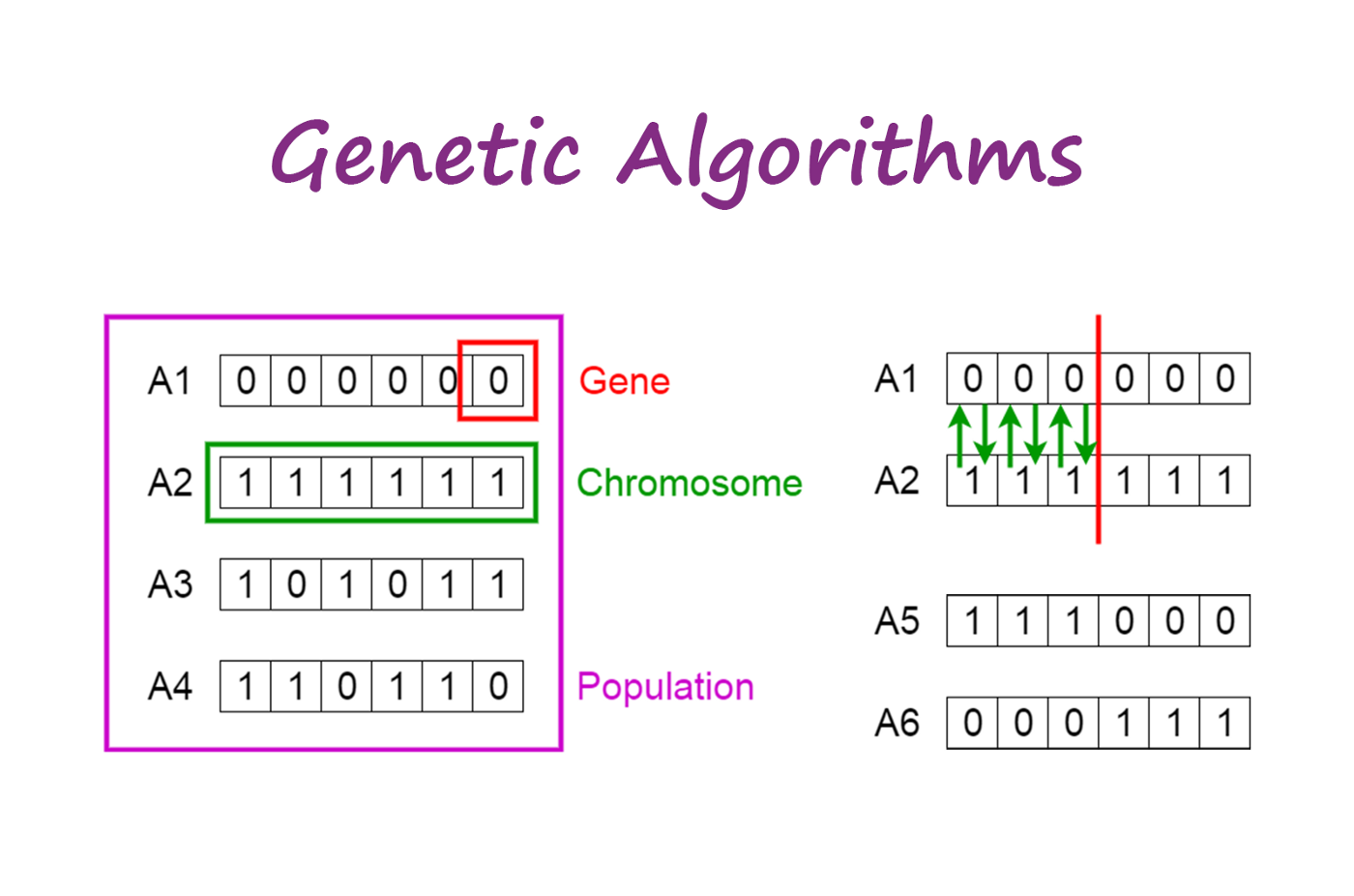 RP-Excel Genetic Algorithms