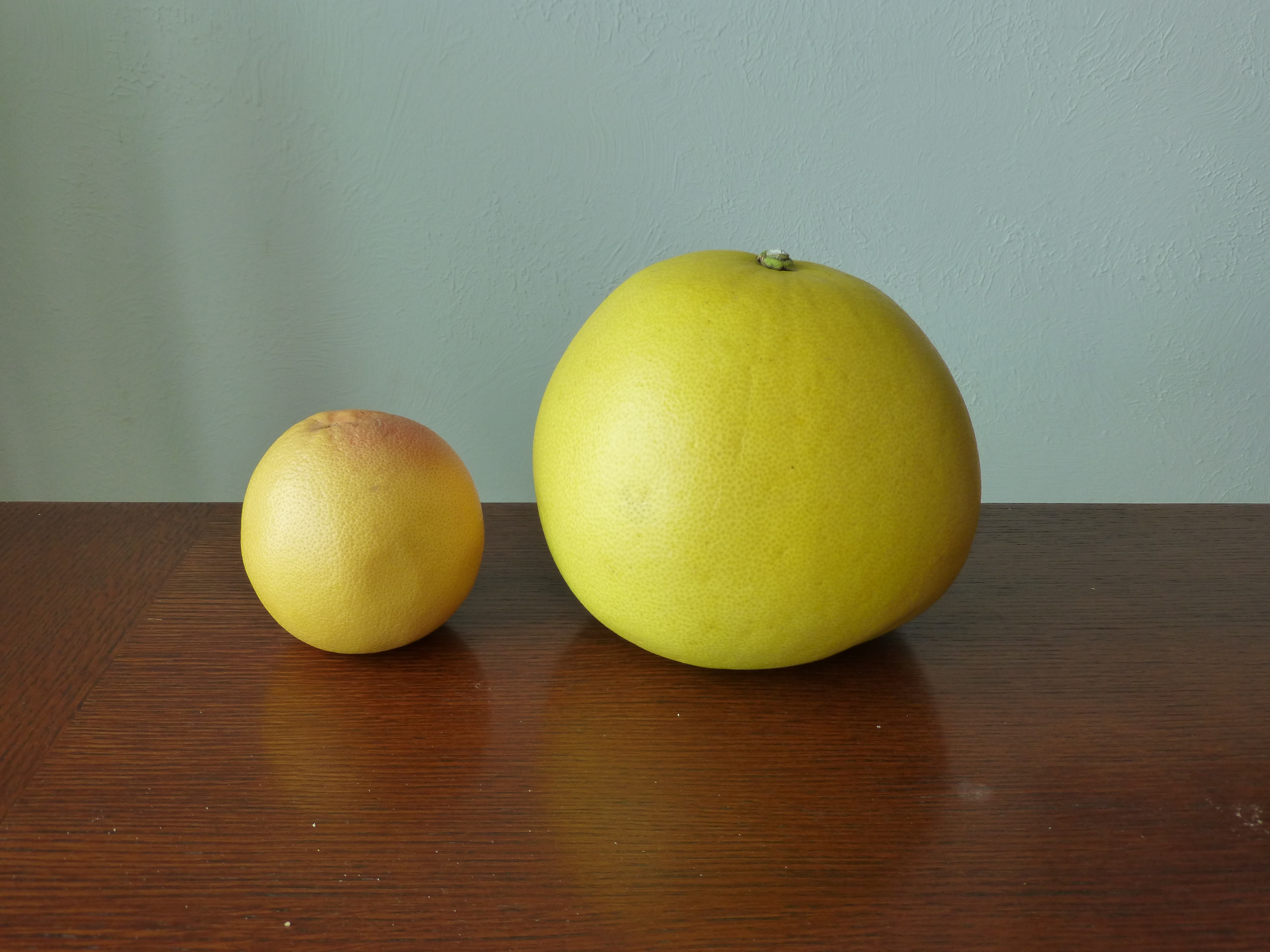 grapefruit size comparison