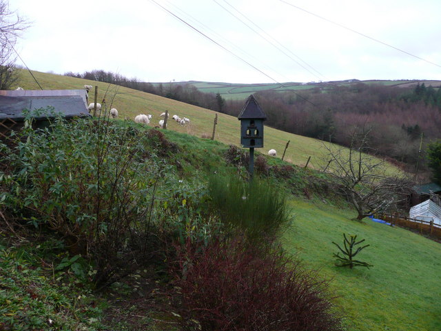 File:Hillside garden - geograph.org.uk - 659365.jpg