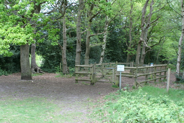 File:Horse gate into Sheet's Heath - geograph.org.uk - 1294606.jpg