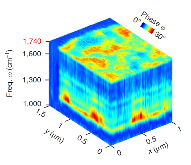 File:Hyperspectral image of a copolymer blend.png