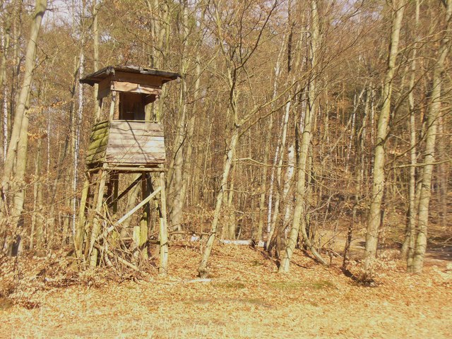 File:Koenigswald - Hochsitz (Elevated Shooting Box) - geo.hlipp.de - 34710.jpg