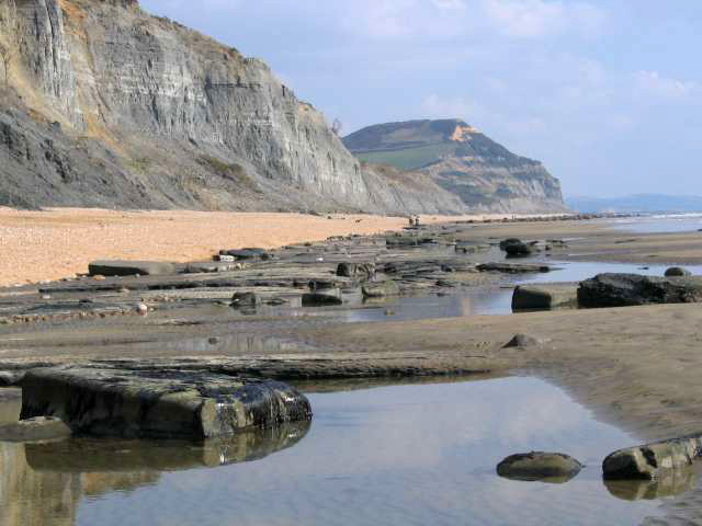 File:Low tide at Charmouth beach - geograph.org.uk - 394624.jpg