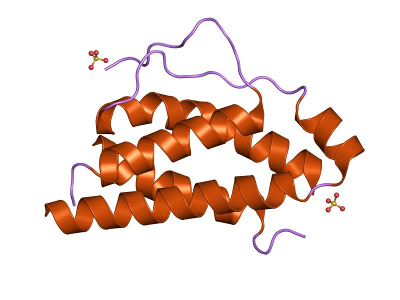 File:PDB 1m47 EBI.jpg