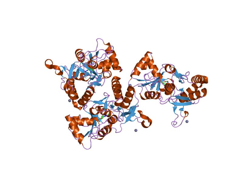 File:PDB 1m5b EBI.jpg